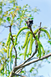 Similar image 2863045