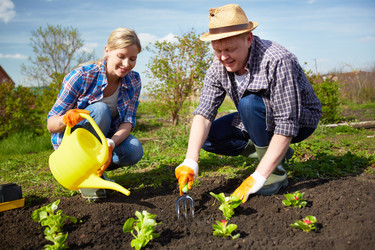 Similar image 2863326