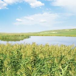 Similar image 2864199