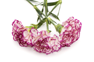 Similar image 2864221