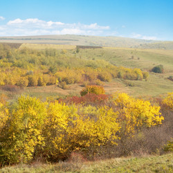 Similar image 2864230