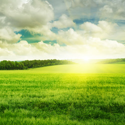 Similar image 2864244