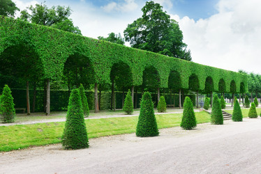 Similar image 2864245