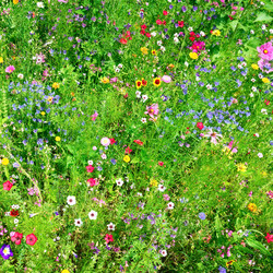 Similar image 2864292