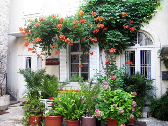 Similar image 2864468