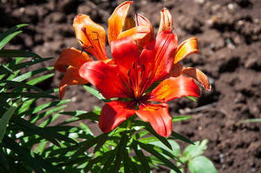 Similar image 2864526