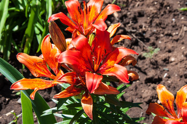 Similar image 2864527