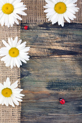 Similar image 2864533