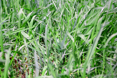 Similar image 2864553