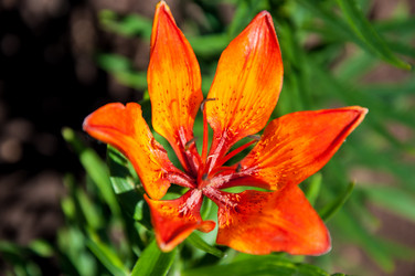 Similar image 2864562