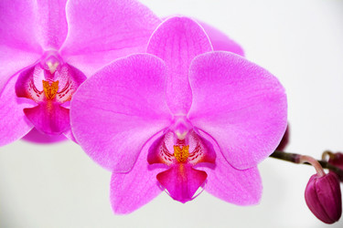 Similar image 2864561