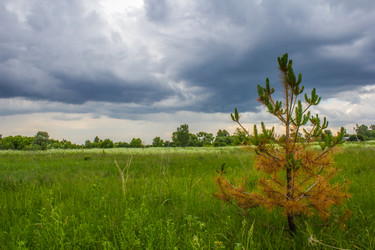 Similar image 2864574