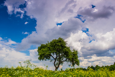 Similar image 2864580