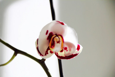 Similar image 2864593