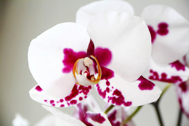 Similar image 2864594