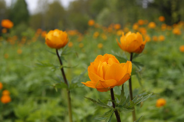 Similar image 2864643