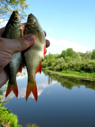 Similar image 2864750