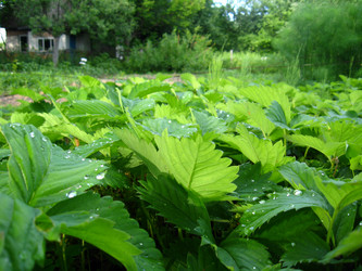 Similar image 2864752