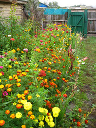 Similar image 2864757