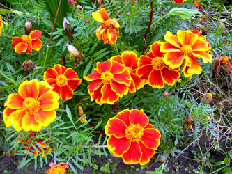 Similar image 2864759