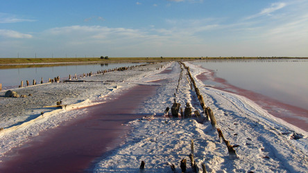 Similar image 2864764