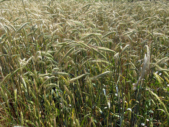 Similar image 2864775