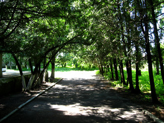 Similar image 2864782