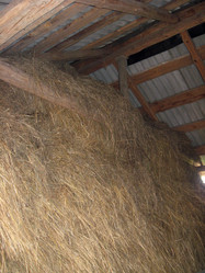 Similar image 2864783