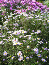 Similar image 2864784