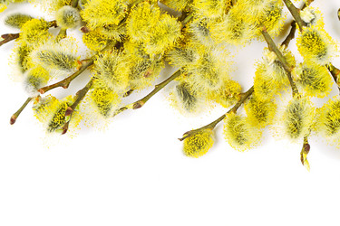 Similar image 2864809