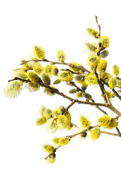 Similar image 2864816