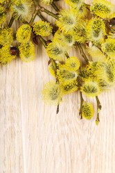 Similar image 2864817