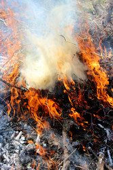 Similar image 2864820