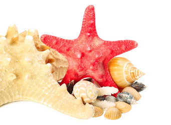 Similar image 2864833