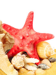 Similar image 2864834