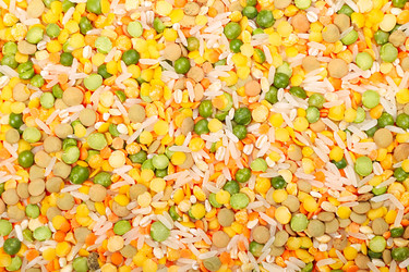 Similar image 2864847