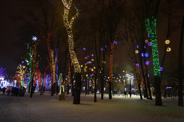 Similar image 2865255