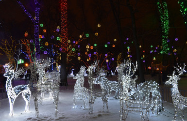 Similar image 2865262