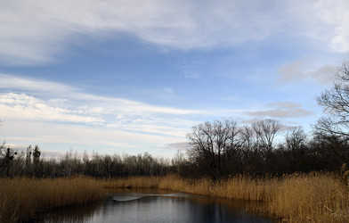 Similar image 2865304