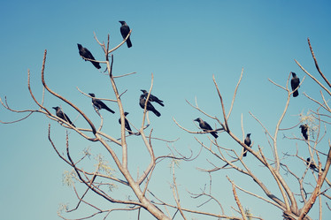 Similar image 2865318