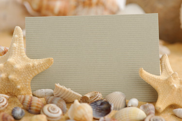 Similar image 2865361