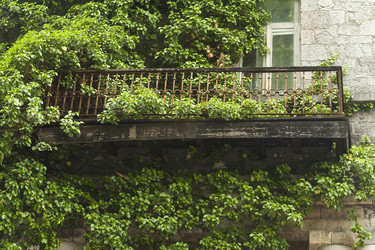 Similar image 2865497