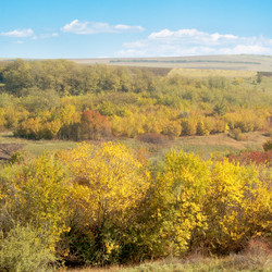 Similar image 2865499