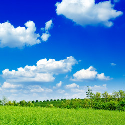 Similar image 2865513