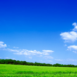 Similar image 2865516