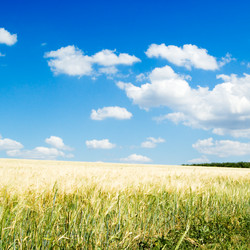 Similar image 2865539