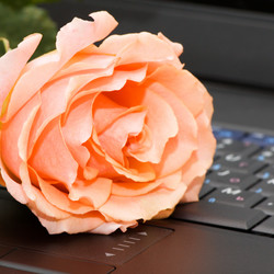 Similar image 2865541