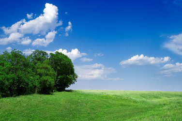 Similar image 2865542