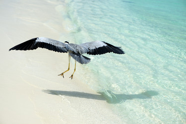 Similar image 2865564