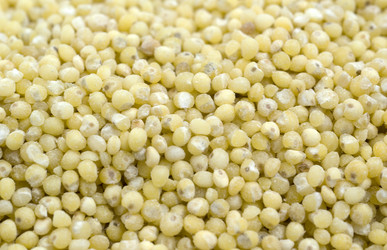 Similar image 2865789